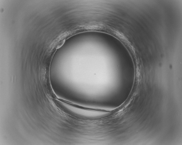 X0000054440201200508191620