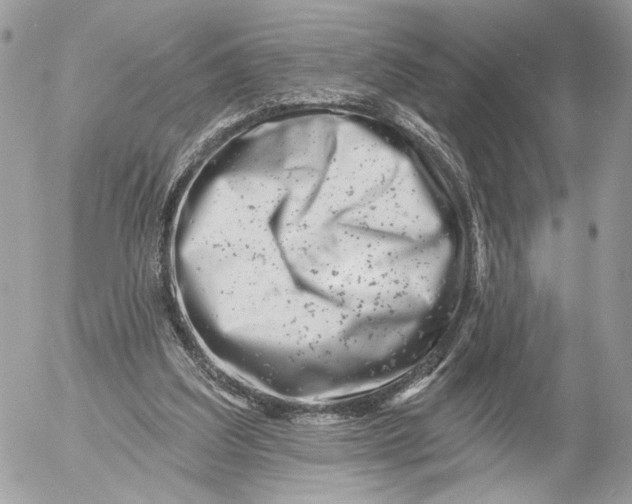 X0000054440203200508191620