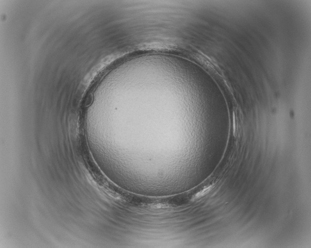 X0000054440204200508191620