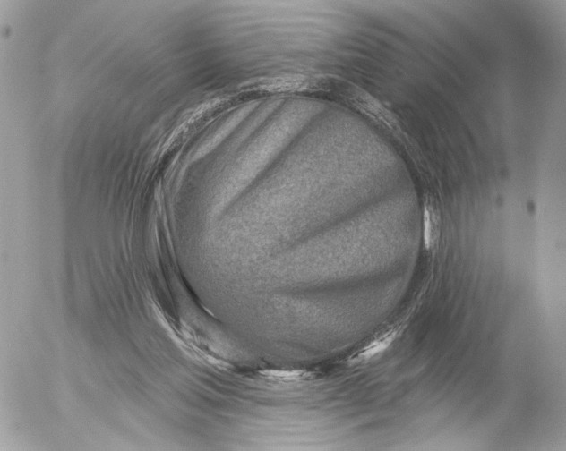 X0000054440205200508191620