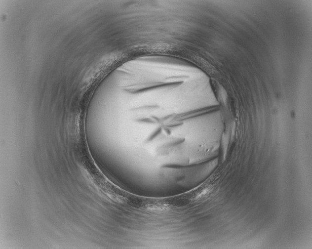 X0000054440206200508191620