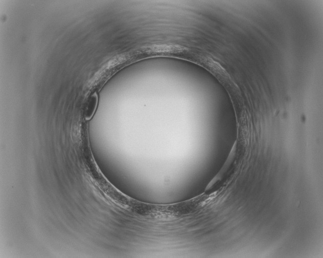 X0000054440207200508191620