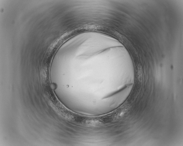 X0000054440208200508191620