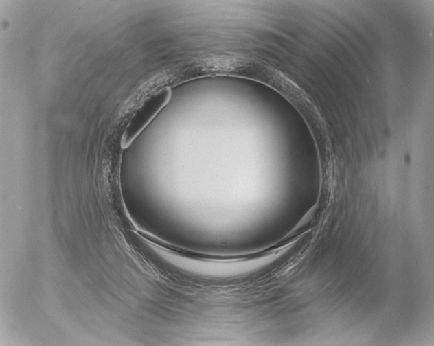 X0000054440209200508191620