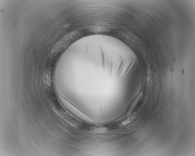 X0000054440210200508191620