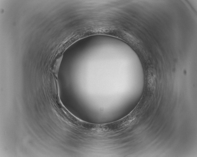 X0000054440211200508191620