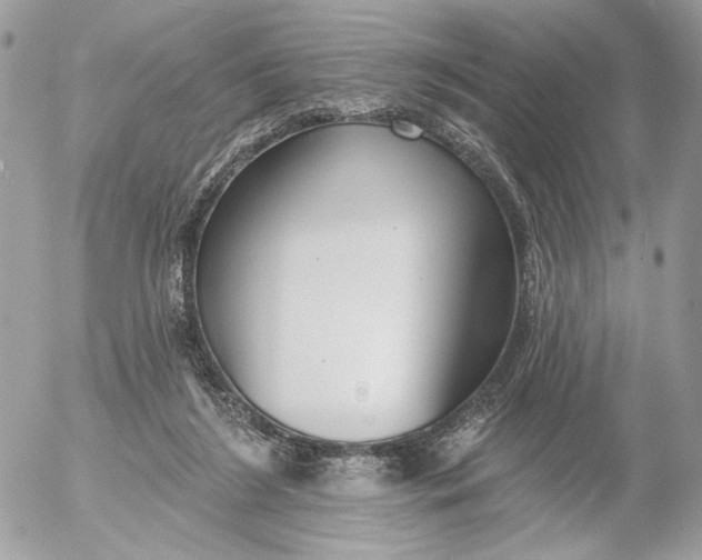 X0000054440212200508191619