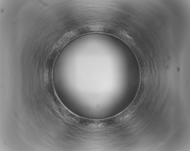 X0000054440213200508191619