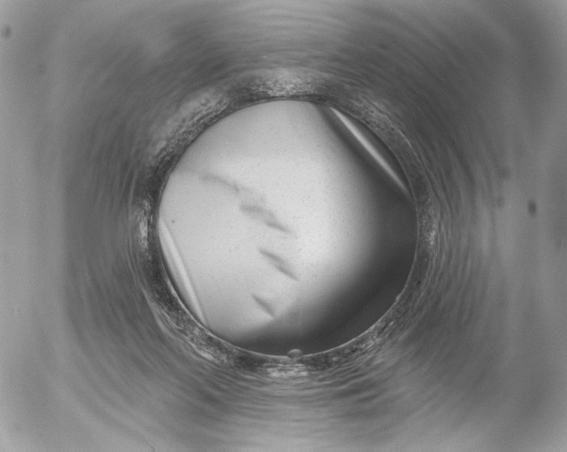 X0000054440214200508191619