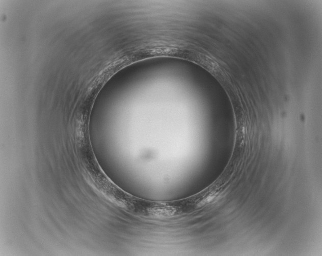 X0000054440215200508191619