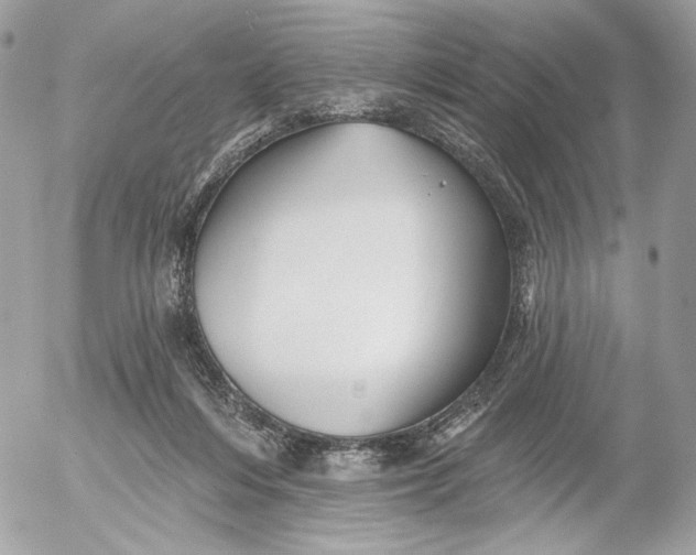 X0000054440216200508191619