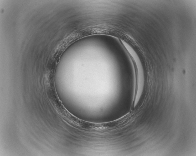 X0000054440217200508191619