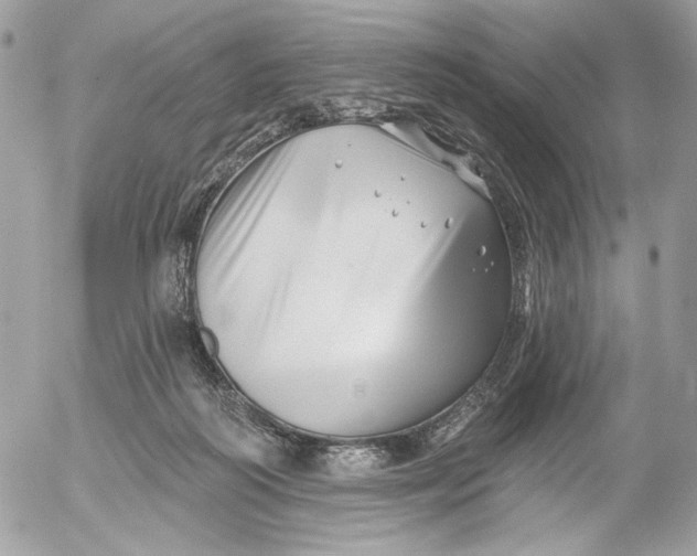 X0000054440218200508191619