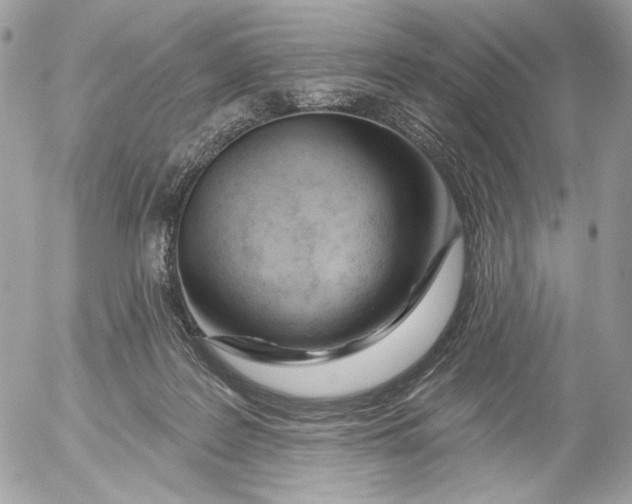 X0000054440219200508191619