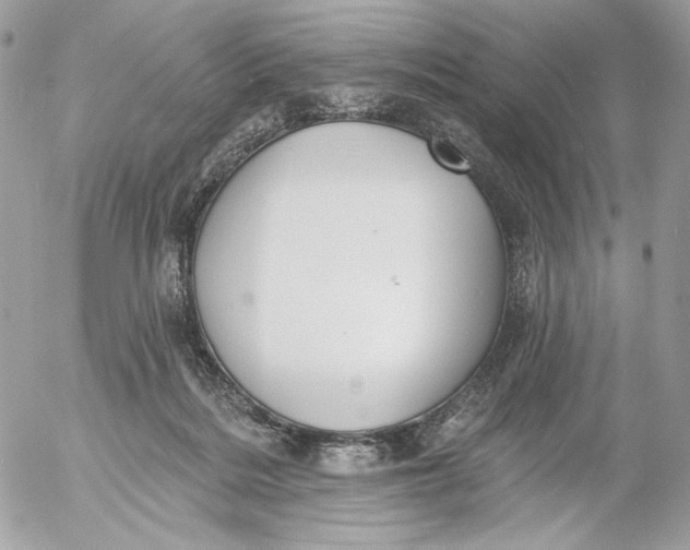 X0000054440220200508191619