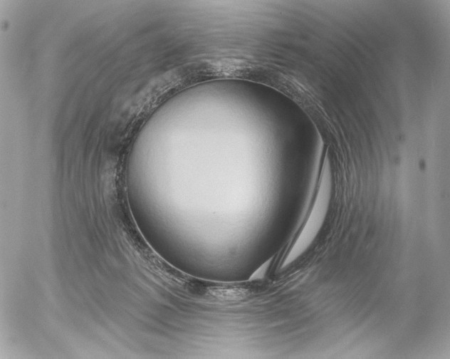 X0000054440221200508191619