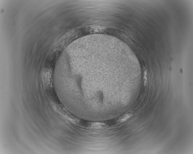 X0000054440222200508191619