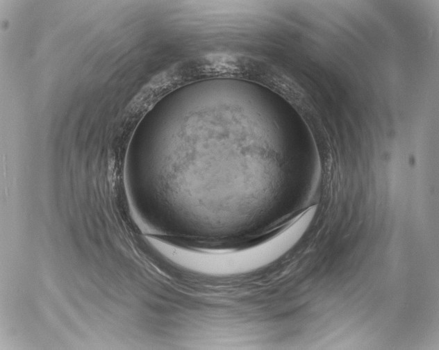 X0000054440223200508191619