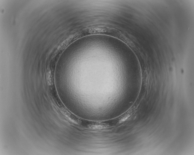 X0000054440224200508191619