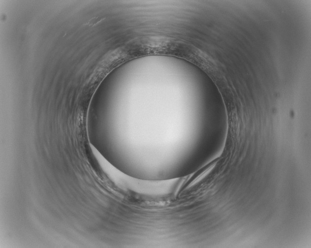 X0000054440225200508191619