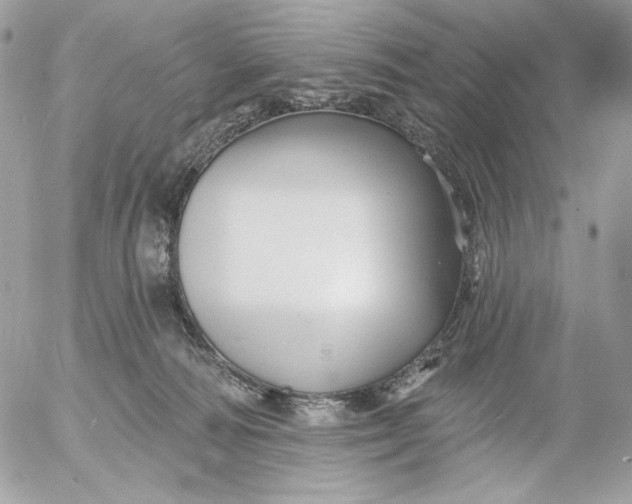 X0000054440226200508191619