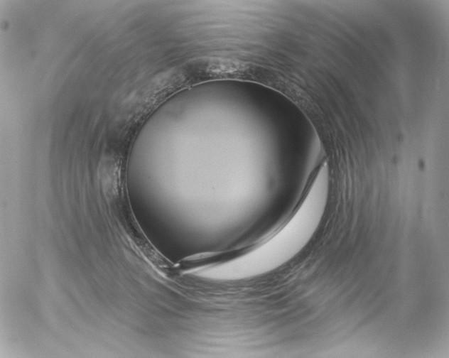 X0000054440227200508191619