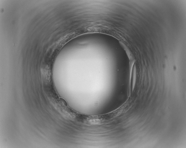 X0000054440228200508191619