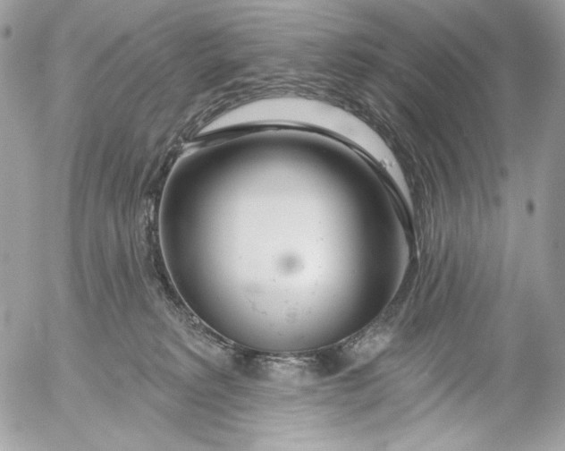 X0000054440229200508191619