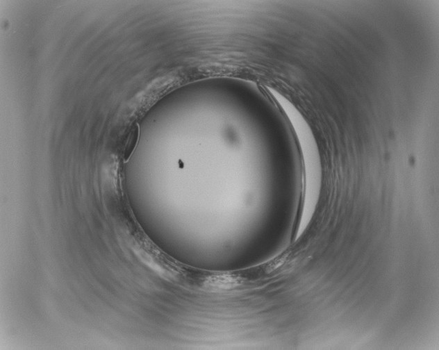 X0000054440231200508191619