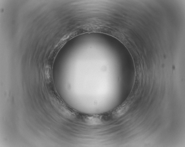 X0000054440232200508191619