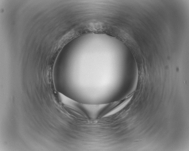 X0000054440233200508191619