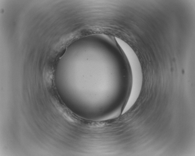 X0000054440235200508191619