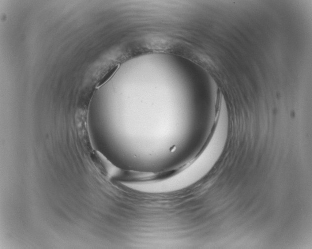 X0000054440237200508191619