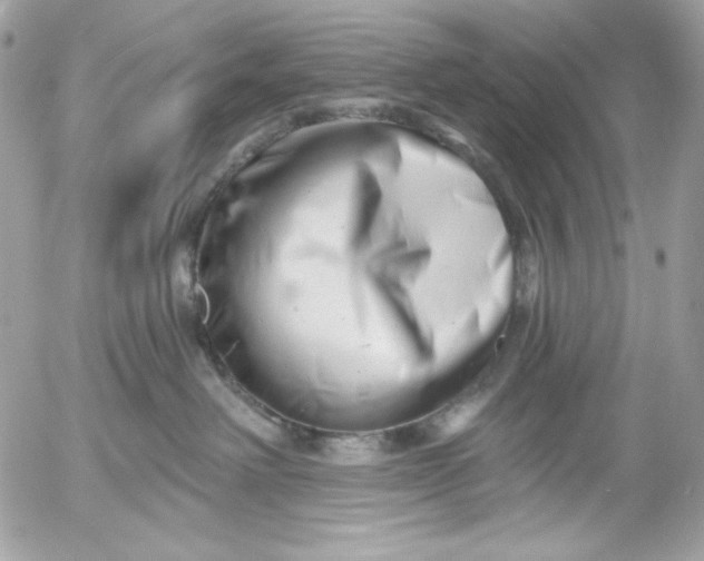 X0000054440238200508191619