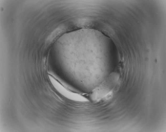 X0000054440239200508191619