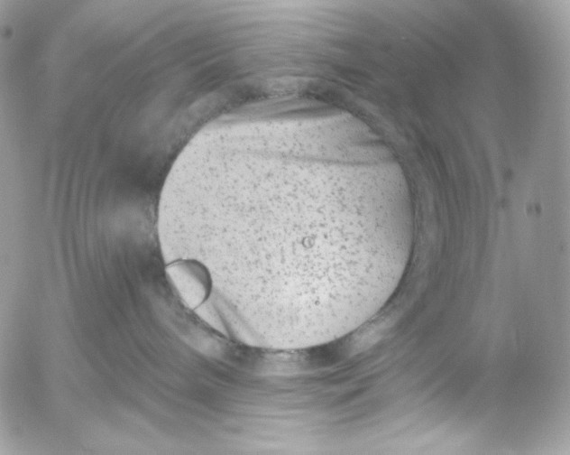 X0000054440240200508191619