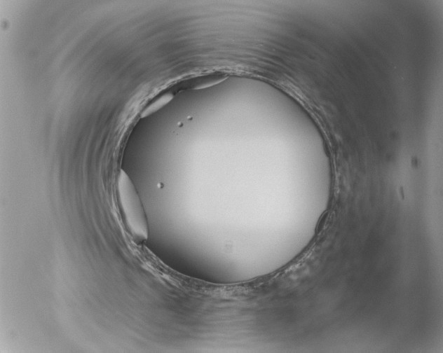 X0000054440241200508191618