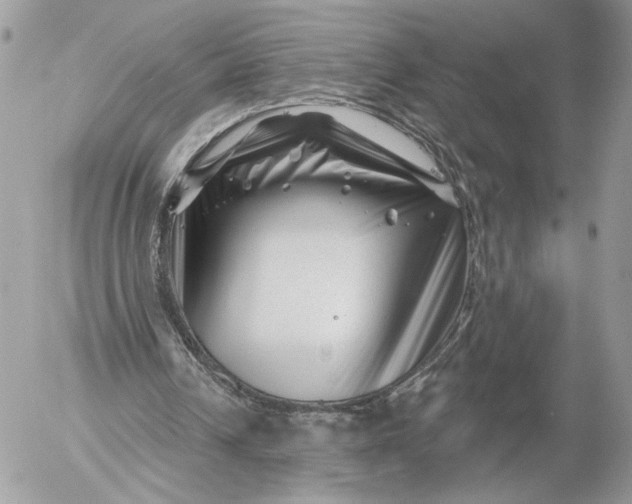 X0000054440242200508191618