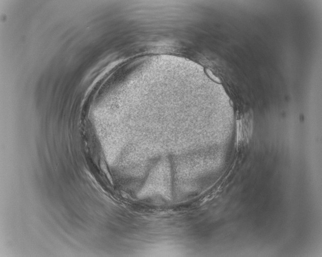 X0000054440243200508191618