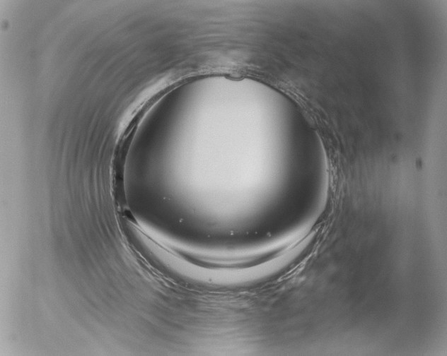 X0000054440244200508191618