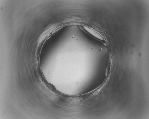 X0000054440245200508191618