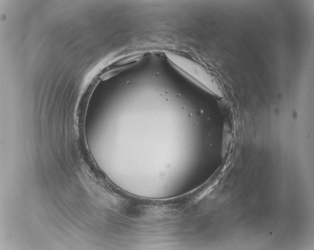 X0000054440246200508191618