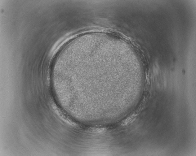 X0000054440247200508191618