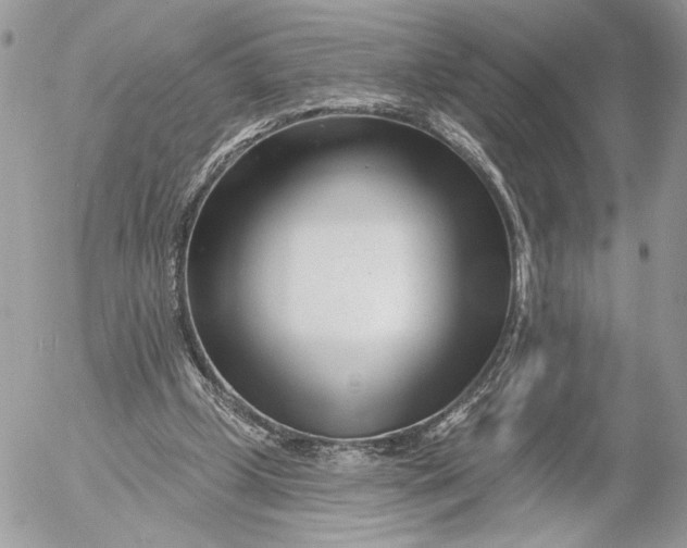 X0000054440249200508191618