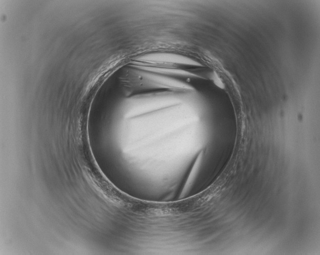 X0000054440250200508191618