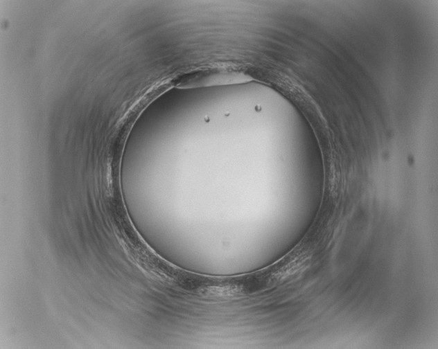 X0000054440251200508191618