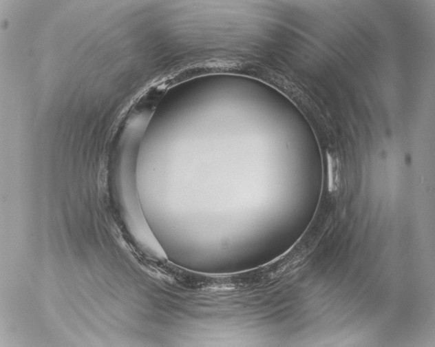 X0000054440252200508191618