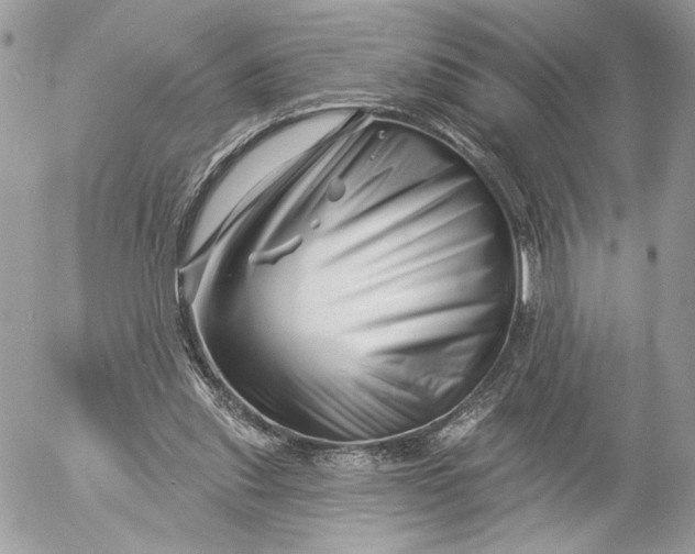 X0000054440253200508191618