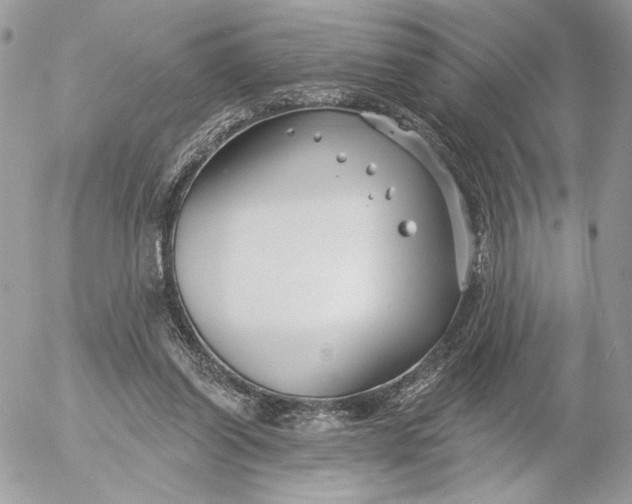 X0000054440254200508191618