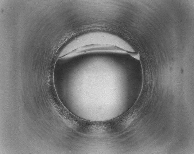 X0000054440255200508191618